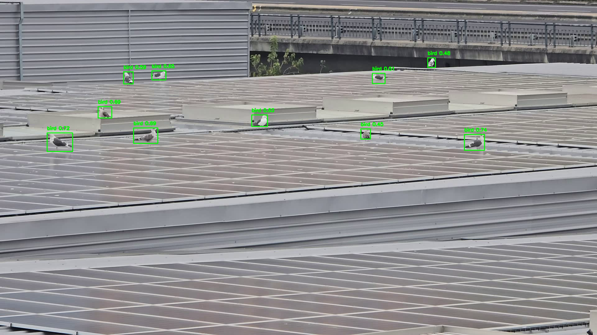 Bird detection on solar panels