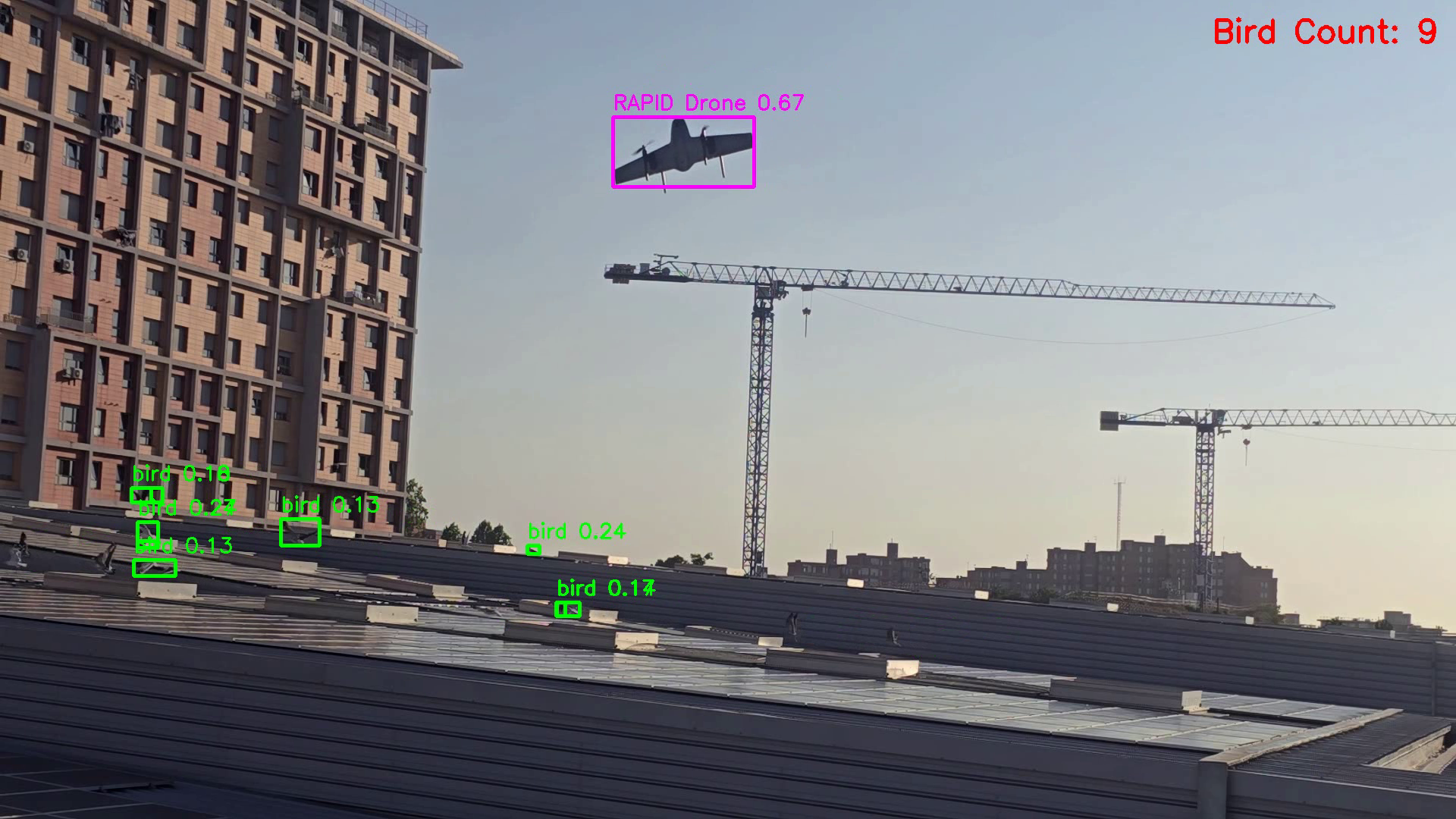 Birds flying away as RAPID drone approaches